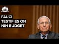 NIH's Anthony Fauci and Francis Collins testify before Congress on FY 2022 budget — 5/25/21