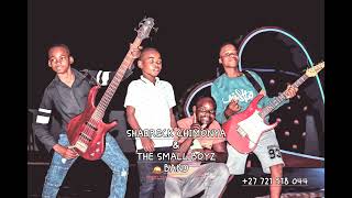 Shadreck_Chimonya_&_The_Small_Boyz_Band