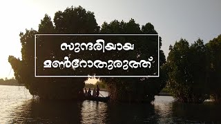 സുന്ദരിയായ മൺറോതുരുത്ത് The Magic of Munroe Island