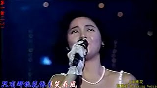 5023m  人面桃花 桃花舞春風  2首桃花相對曲 鄧麗君 現場演唱 高清 卡拉OK歌詞 HD RLV