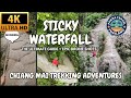 STICKY WATERFALL in Chiang Mai 4K: Best Ultimate Guide (Northern Thailand) นำตกบัวตอง