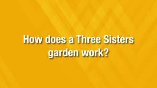 Ask the Expert: How does a Thee Sisters garden work?