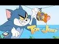 Pittura pazza | Tom & Jerry | #NUOVO cartone | Boomerang Italia