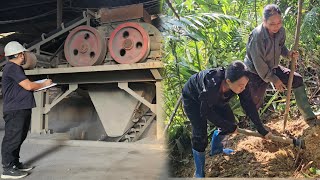 Tam followed her aunt into the deep forest to find ingredients for her grandmother to chew betel.