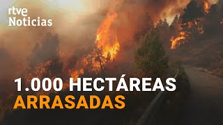 INCENDIO: Un millar de DESALOJADOS en las provincias de CASTELLÓN  y TERUEL | RTVE Noticias