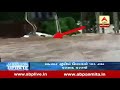 a car sinks in rain water in amreli