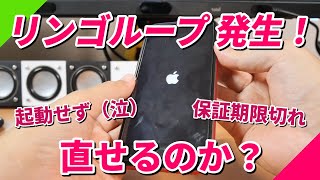 リンゴループ発生！iPhone直せるのか？