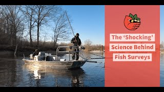 The 'Shocking' Science Behind Fish Surveys