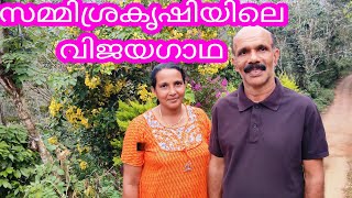 സമ്മിശ്രകൃഷിയിൽ വിജയഗാഥയുമായി വിൽസൺ#antony#muniyara VIogs