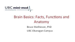 UBC Okanagan Mini-Med 2016 - Brain Basics: Facts, Functions, and Anatomy