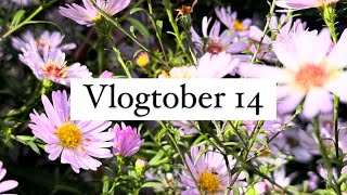 Vlogtober numéro 14 #vlogtober #vlogtober2024