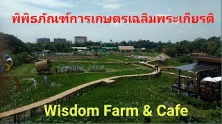 Wisdom Farm \u0026 Cafe สถานที่เที่ยวแห่งใหม่ของปทุมธานี จิบกาแฟ เดินเล่นถ่ายรูปบนสะพานไม้ไผ่กลางนา