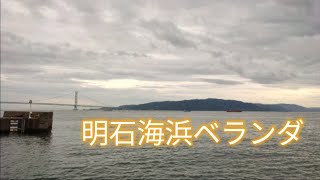 明石の海浜ベランダで釣りしてみた！