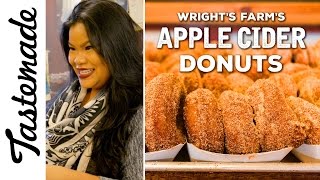 Famous Wright's Farm Apple Cider Donuts | The Tastemakers-Jen Phanomrat