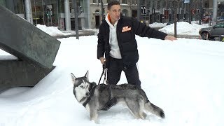 La plus grosse tempête de neige de l'année!