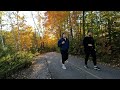 4k cycling through canadian forest autumn forest nature québec 🇨🇦