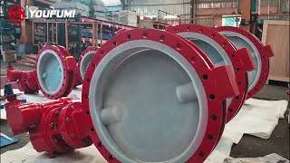 When Do You Need a Large Diameter Lined Butterfly Valve?