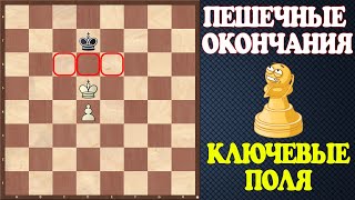 Шахматы. Учебник эндшпиля №1. Пешечные окончания - ключевые поля