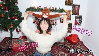 알차디 알찬 연말vlog(성수셀프사진관, 신당쇼플릭스)