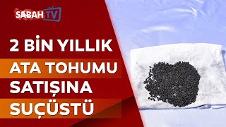 2 bin yıllık ata tohumlarını satmak isterken yakalandı