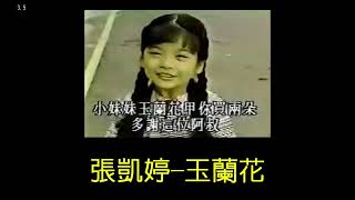 張凱婷 玉蘭花 原唱