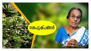 Dasa Pushpangal | Dasapushpangal | ദശപുഷ്പങ്ങൾ | പത്തുപൂവ് | ദശപുഷ്പം