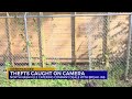 Thefts caught on camera