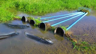 Amazing Easy Fish Trap ! Set Up Fish Traps Using PVC Pipes & Wire mesh