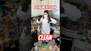 Extreme Kitchen Deep Clean