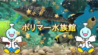 ポリマー水族館