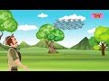 പ്രാവുകളും വേട്ടക്കാരനും കഥ malayalam story for kids മലയാളം ഗുണപാഠ കഥകൾ