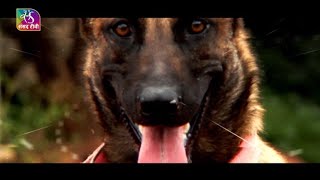 National Security: Making of India’s Elite K9 Squad | 06 October, 2024