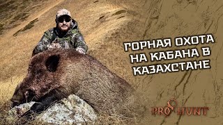 Горная Охота на кабана в Казахстане!