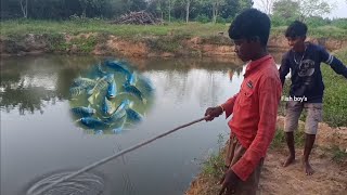 Tilipiya Fish ✅|tilipiya Fish hunting bait|Village fishing