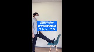 立ったままできる病院で原因がわからない坐骨神経痛を改善するストレッチ【姫路市 坐骨神経痛】＃Shorts