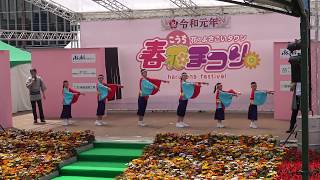 2019年[4K]帯屋町筋ジュニア隊･2019こうち春花まつり