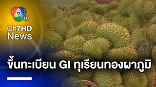 กรมทรัพย์สินทางปัญญา ขึ้นทะเบียน GI ทุเรียนทองผาภูมิ สินค้า จ.กาญจนบุรี