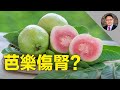 🍐揭秘芭樂(番石榴)的驚人好處和食用禁忌;哪些人不能吃芭樂？(快來看你是否也上榜)😱；芭樂挑選秘訣