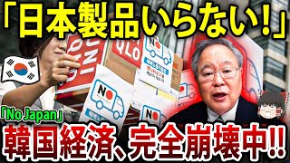 【ゆっくり解説】韓国経済終了！反日が生んだ自滅劇、世界が呆れる【海外の反応】