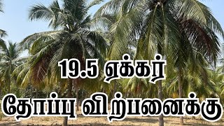 19.5 ஏக்கர் தோப்பு விற்பனைக்கு