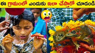 😱 ఈ గ్రామంలో ఎందుకు ఇలా చేస్తారో చూడండి|INTRESTING FACTS IN TELUGU|FACTS AGENT