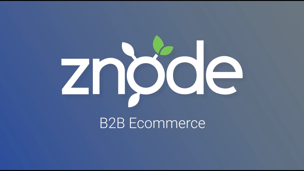 Achieve Flexible, Centralized B2B Ecommerce On Znode - YouTube