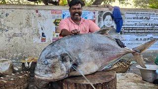 40KG HUGEGIANT TRAVELLY FISH | பெரிய பாறை மீன் | IN KASIMADU | HD VIDEO | @PRAKASHCUTTER