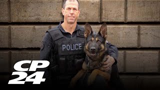 Police dog shot and killed in Etobicoke