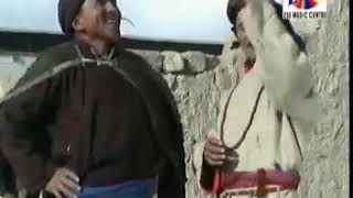 Ladakhi joke