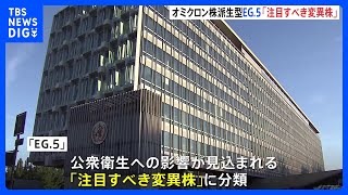 WHO　オミクロン株派生型ウイルス「EG.5」を「注目すべき変異株」に分類｜TBS NEWS DIG