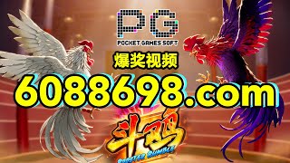 6088698.com-金年会官网-【PG电子斗鸡】2023年6月20日爆奖视频