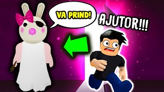 Cocolix Roblox Adopt Me