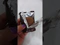 hazelnut choco shortsviral shortvidio asmr amazingsound satisfying