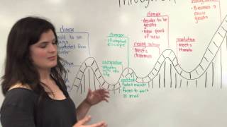 Plot Development Rollercoaster